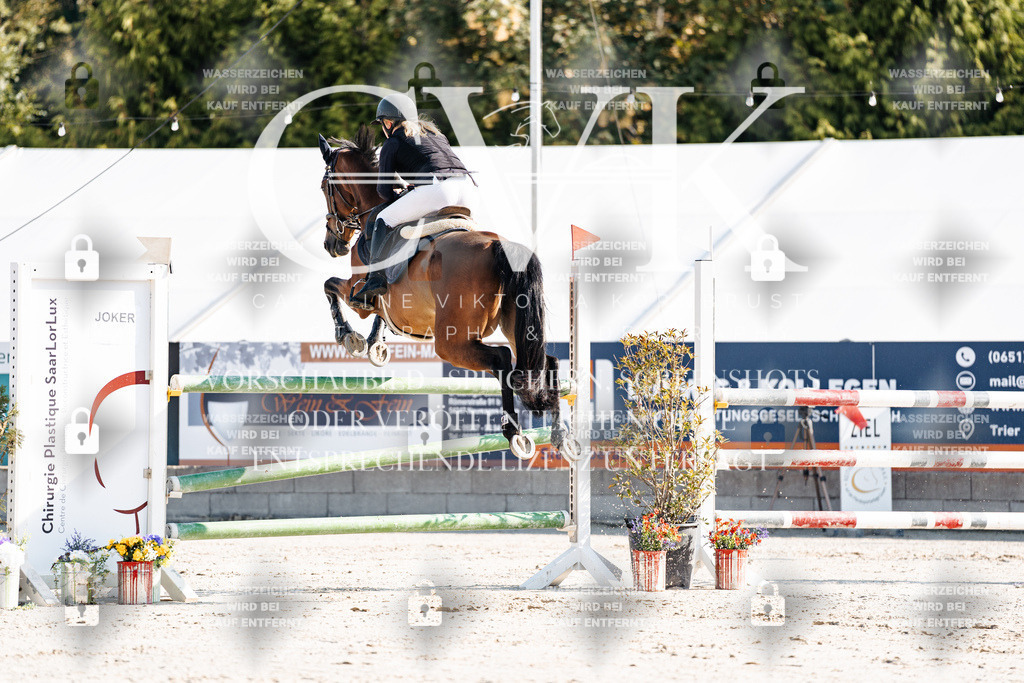 CK901759 | Turnierfotografie Pferdefotografie Trier Rheinland-Pfalz Pferdesport Reitsport Tierfotografie Sportfotografie Pferdevideo Pferdevideografie Equestrianvideography equestrianphotography  - Realisiert mit Pictrs.com