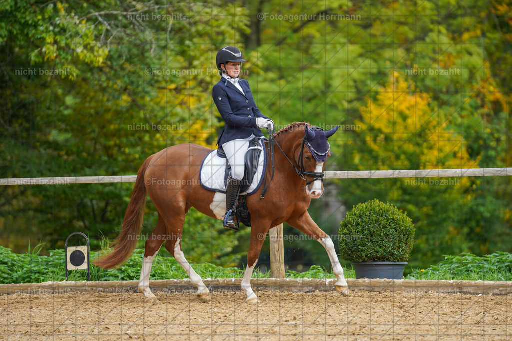 20221007-FAH09872 | Diessen am Ammersee, 2022, Dressur- und Springturnier, Reitsportbilder, Turnierfotografen Bayern, Pferdefotografen, Fotoagentur Herrmann, Turnierbilder