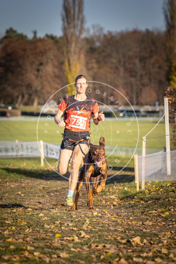 CaniXpix_DV3A2462 | Hundefotografie, Tierfotograf, Pfotenfotografie, Fotoshooting Hund, Hunde Portrait, Hundesport, Hundeportraits, Heideshooting, Hunde, Sportfotograf, Hundefotograf, Turnierhundsport, THS,  - Realisiert mit Pictrs.com