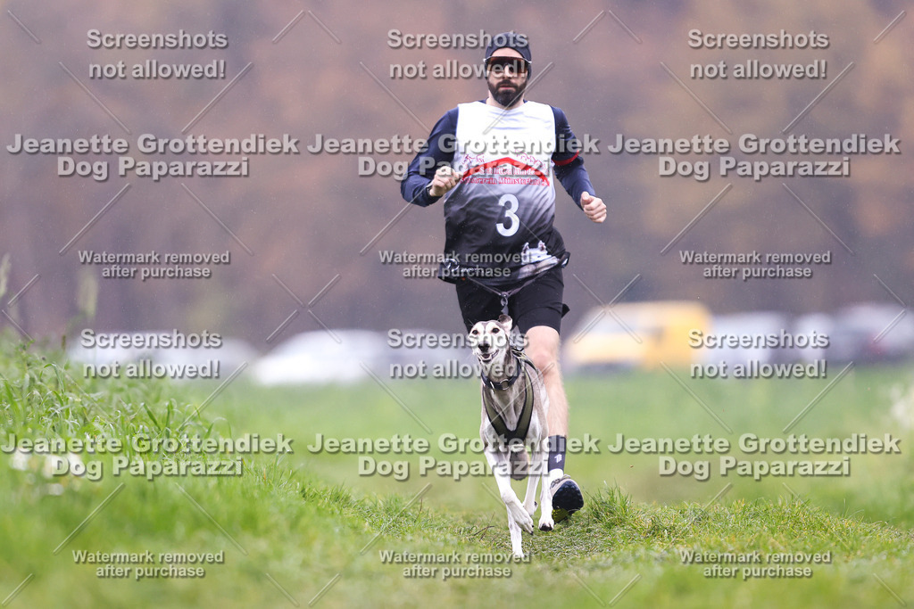 Dog Paparazzi - Visbeck 25 -782 | Dog Paparazzi Jeanette Grottendiek Fotografie & Videografie - Realisiert mit Pictrs.com