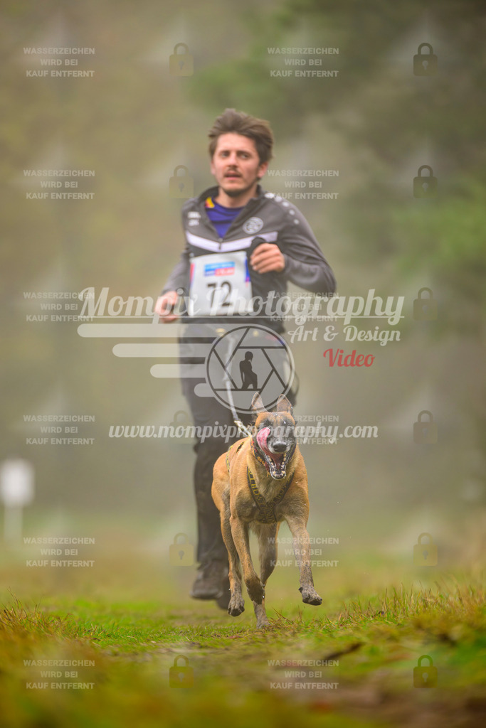 MompixPhotography_Bischwiller2025_Canicross-66 | mompixphotography