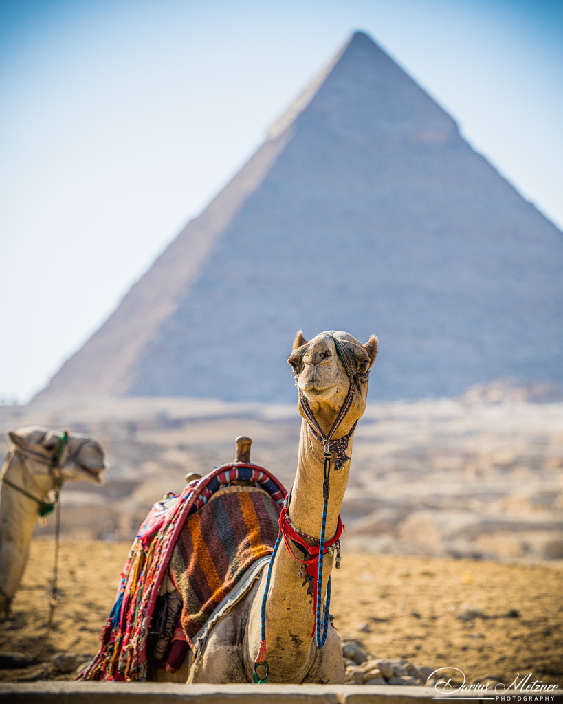 Bilder aus Kairo in Ägypten | Bilder aus Kairo in Ägypten