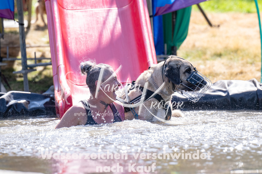 1401_ZZ92714 | kk-dogfotos