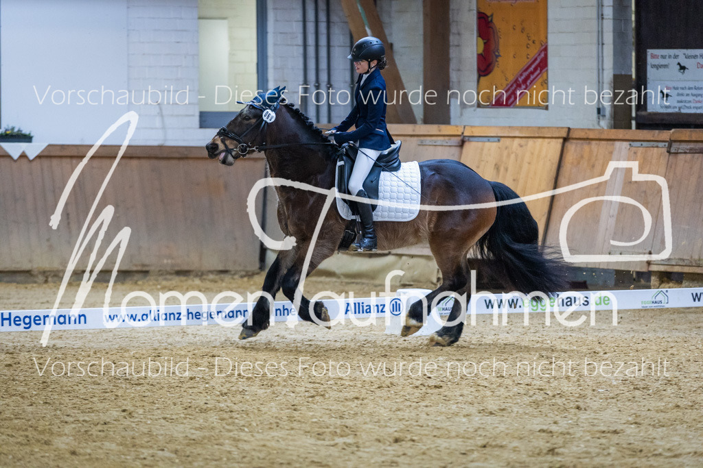 Sth-WBO25-EDr-105 | MomenTaufnahmen Pferdesportfotos