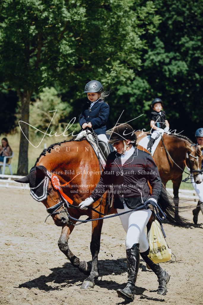DSC_2720 | Pferde- und Turnierfotografie in Westsachsen. Pferdeportraits, Auftragszeichnungen und intuitive Kunst.