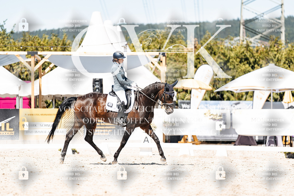 CK900192 | Turnierfotografie Pferdefotografie Trier Rheinland-Pfalz Pferdesport Reitsport Tierfotografie Sportfotografie Pferdevideo Pferdevideografie Equestrianvideography equestrianphotography  - Realisiert mit Pictrs.com