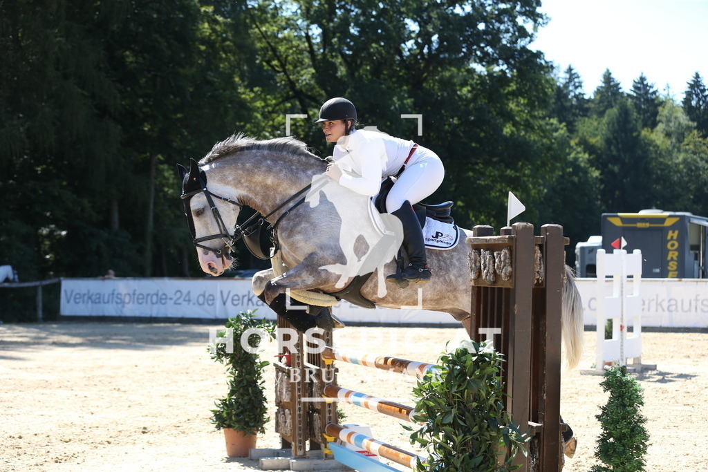 DL2Q9838 | Willkommen bei Brunnmayr - Design & Fotografie – Ihrem Spezialisten für Reitturniere und Pferdeveranstaltungen in Oberösterreich, Salzburg und Bayern! Seit über 17 Jahren sind wir leidenschaftlich dabei.