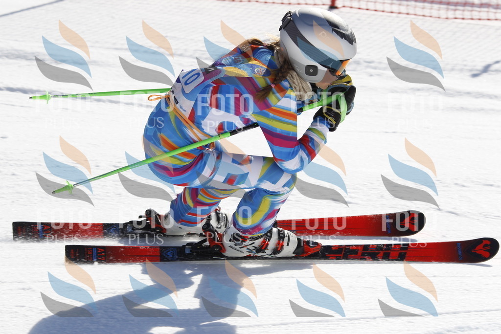 _U3G8659 | holidayphoto