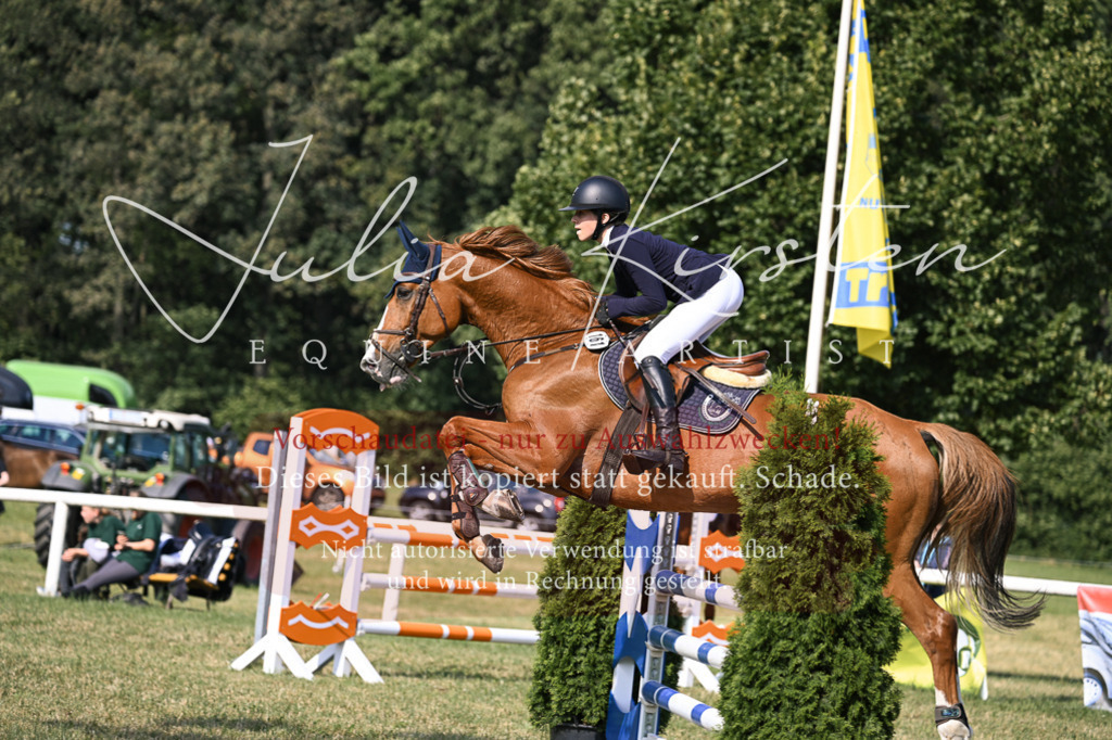 DSC_1215 | Pferde- und Turnierfotografie in Westsachsen. Pferdeportraits, Auftragszeichnungen und intuitive Kunst.