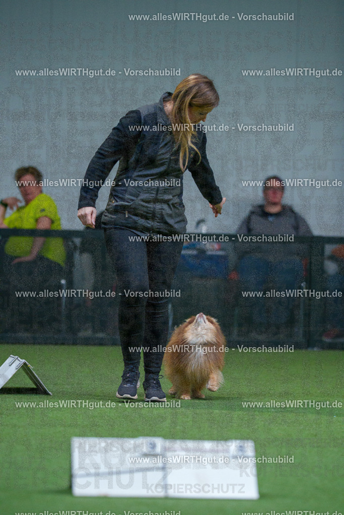 7R501781 | Professionelle Tierfotografie in Mönchengladbach von Daniel Wirth (allesWIRTHgut). Liebevolle & natürliche Bilder von Hunden & Katzen für unvergessliche Erinnerungen.