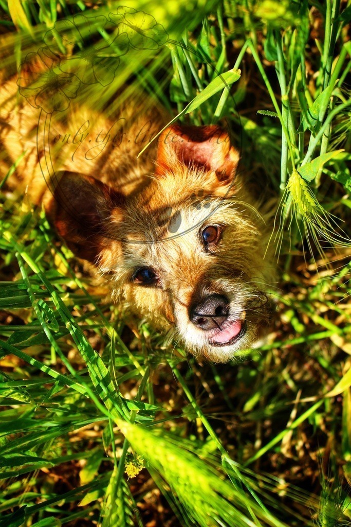 IMG_2283-01 | only.this.little.world - Realisiert mit Pictrs.com