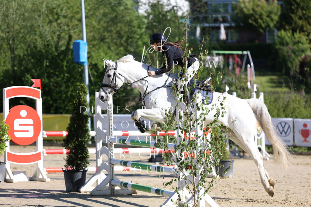 IMGS6395 | pl-fotografie