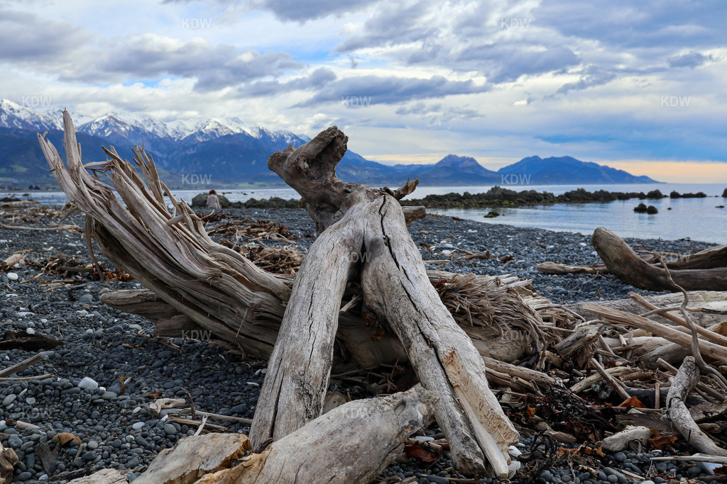 Meer und Berge in Neuseeland | Küste von Kaikoura mit Treibholz - Realisiert mit Pictrs.com