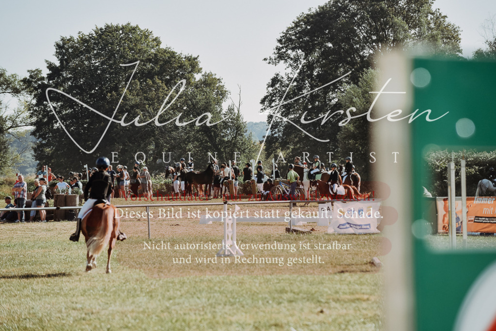 DSC_5950 | Pferde- und Turnierfotografie in Westsachsen. Pferdeportraits, Auftragszeichnungen und intuitive Kunst.