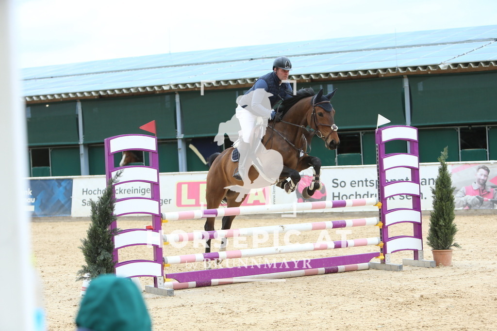 DL2Q9447 | Willkommen bei Brunnmayr - Design & Fotografie – Ihrem Spezialisten für Reitturniere und Pferdeveranstaltungen in Oberösterreich, Salzburg und Bayern! Seit über 17 Jahren sind wir leidenschaftlich dabei.