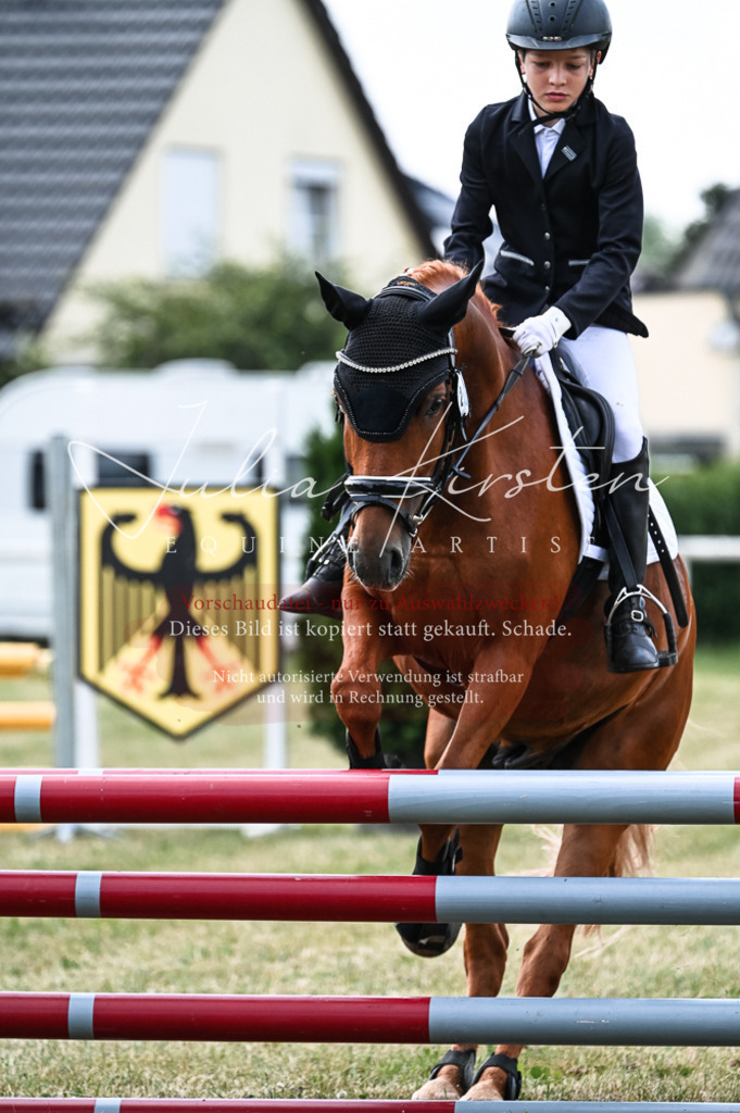 DSC_9065 | Pferde- und Turnierfotografie in Westsachsen. Pferdeportraits, Auftragszeichnungen und intuitive Kunst.