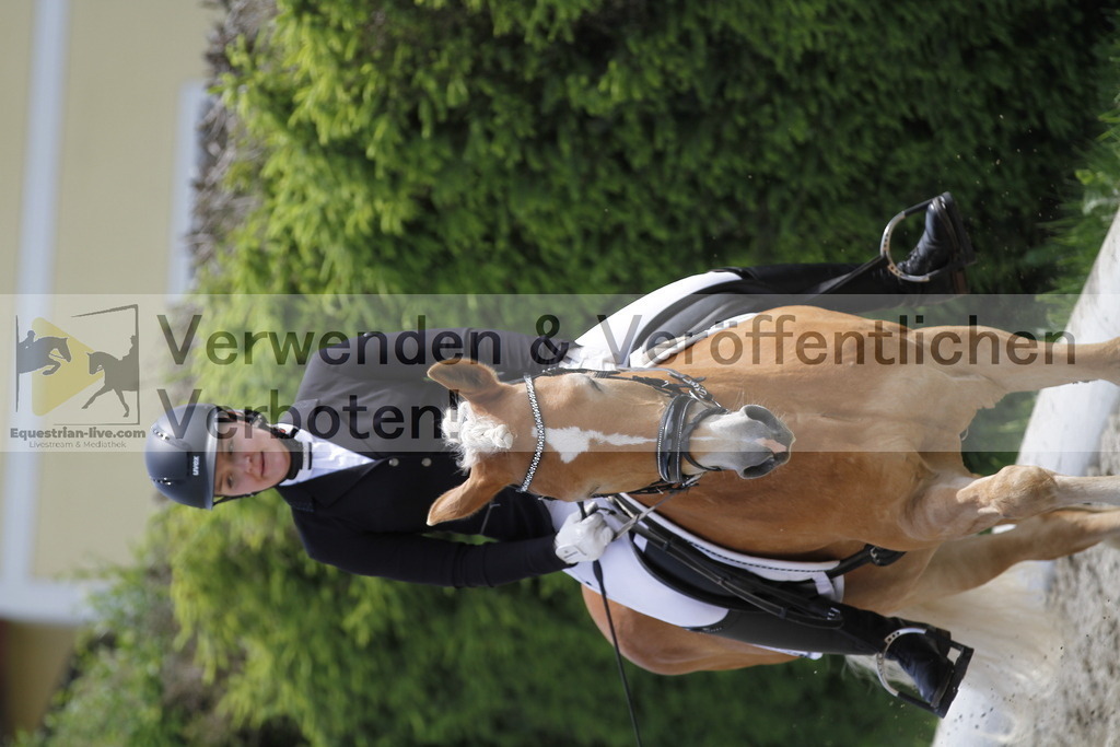 _MG_8772 | equestrian-live-com