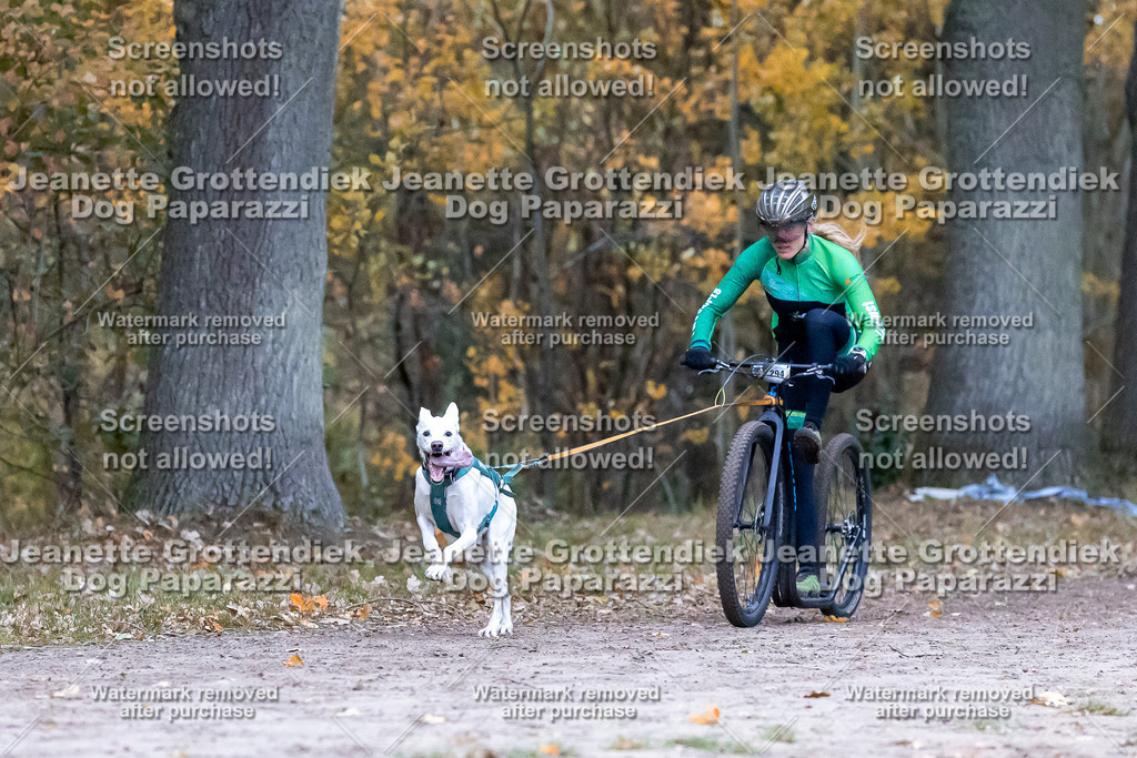 Dog Paparazzi - SD CaniX Championship 2025-173 | Dog Paparazzi Jeanette Grottendiek Fotografie & Videografie - Realisiert mit Pictrs.com