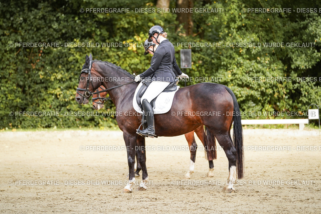 DSC09545 | Pferdegrafie