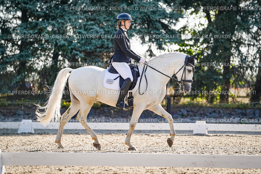 DSC08645 | Pferdegrafie