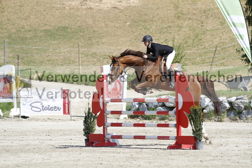 _MG_9528 | equestrian-live-com