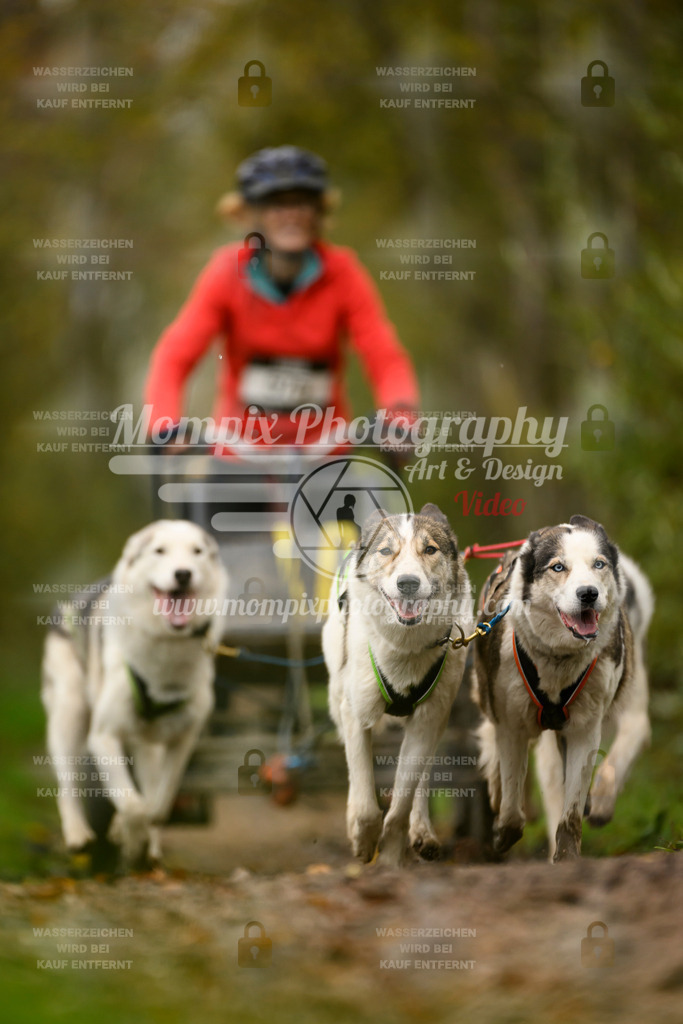 MompixPhotography_20TSB_E6_Kart-10 | PayLife