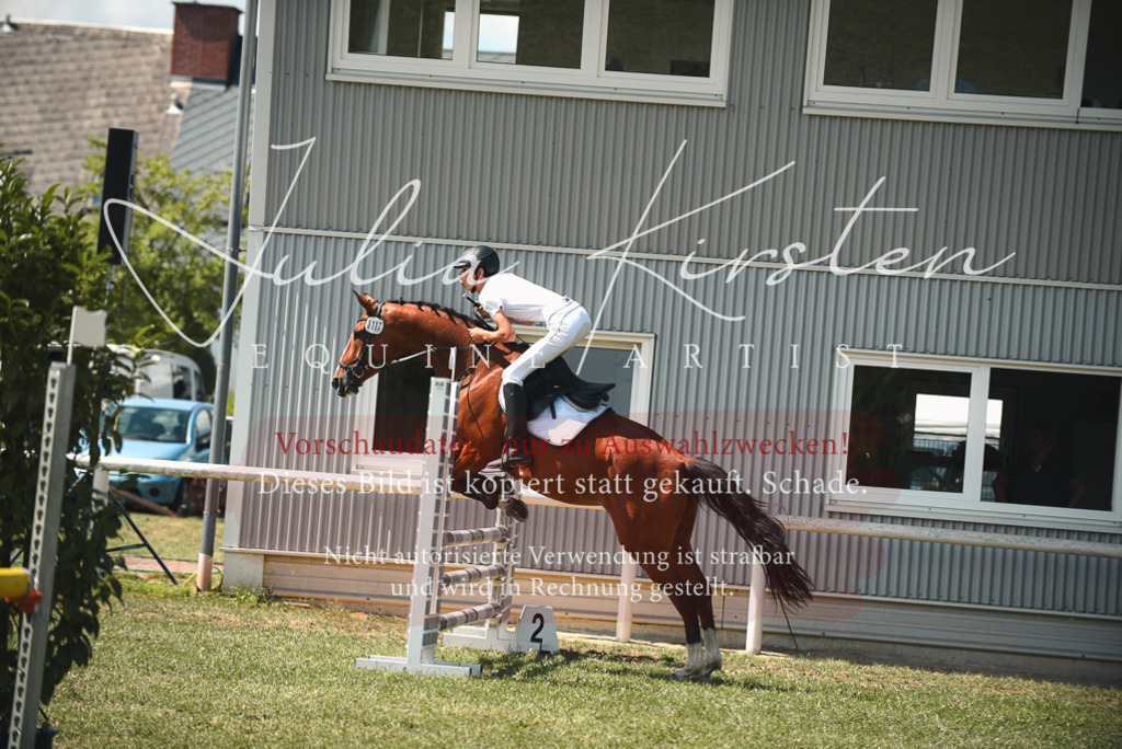 DSC_6575 | Pferde- und Turnierfotografie in Westsachsen. Pferdeportraits, Auftragszeichnungen und intuitive Kunst.