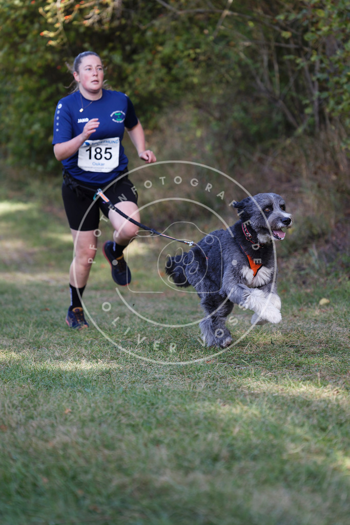 0L8A5544 | Hundefotografie, Tierfotograf, Pfotenfotografie, Fotoshooting Hund, Hunde Portrait, Hundesport, Hundeportraits, Heideshooting, Hunde, Sportfotograf, Hundefotograf, Turnierhundsport, THS,  - Realisiert mit Pictrs.com