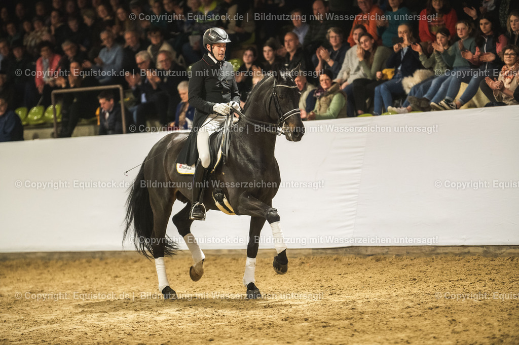 20240302_Hengstvorstellung_Marbach_TOMsPiC_1506 | equistock