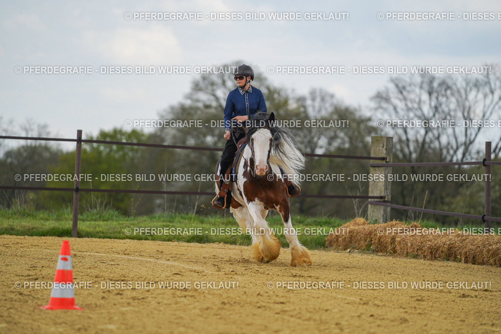 DSC05992 | Pferdegrafie