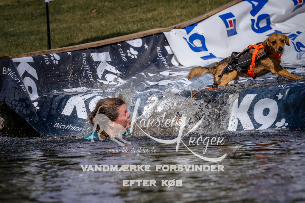 _ZZ927840929 | kk-dogfotos