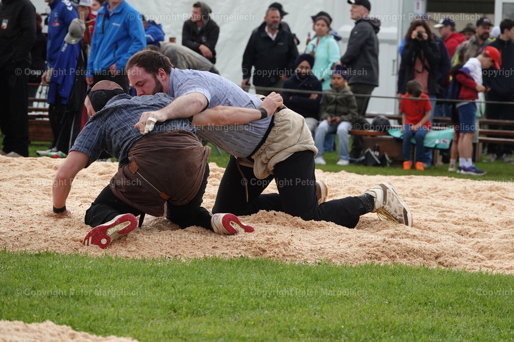 DSC00722 | Schwingen - Realisiert mit Pictrs.com