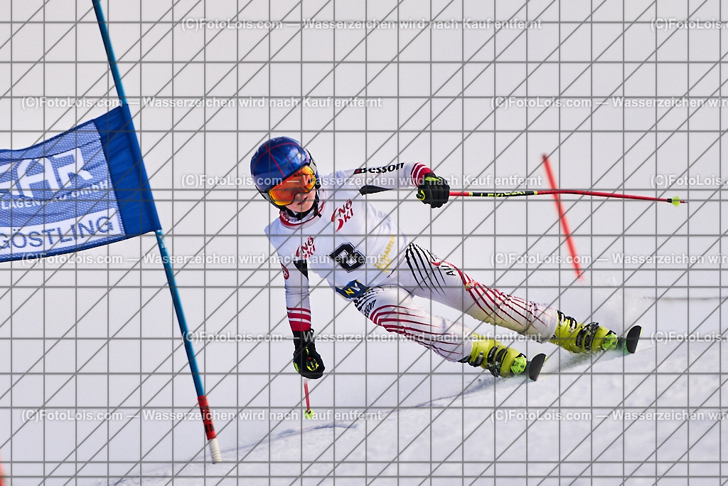 ALP7892_NOe MASTERSCUP_RTL-LM_Hochkar_Vorlaeufer | (C)FotoLois.com, Alois Spandl. NÖ MASTERSCUP RTL-Landesmeisterschaft am Hochkar Almlift/Sonnenhang, Sa 9. März 2024.