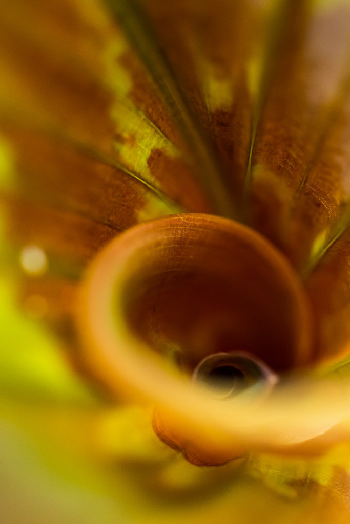 d_2022_04_0278 | Ausdrucksstarke Naturfotografien | Fotokunst Wandbilder zur Raumgestaltung für Zuhause | Praxis und Büro| Hotels und Wellness | Kanzlei und Repräsentanz. Hochwertig, individuell, flexibel. - Realisiert mit Pictrs.com