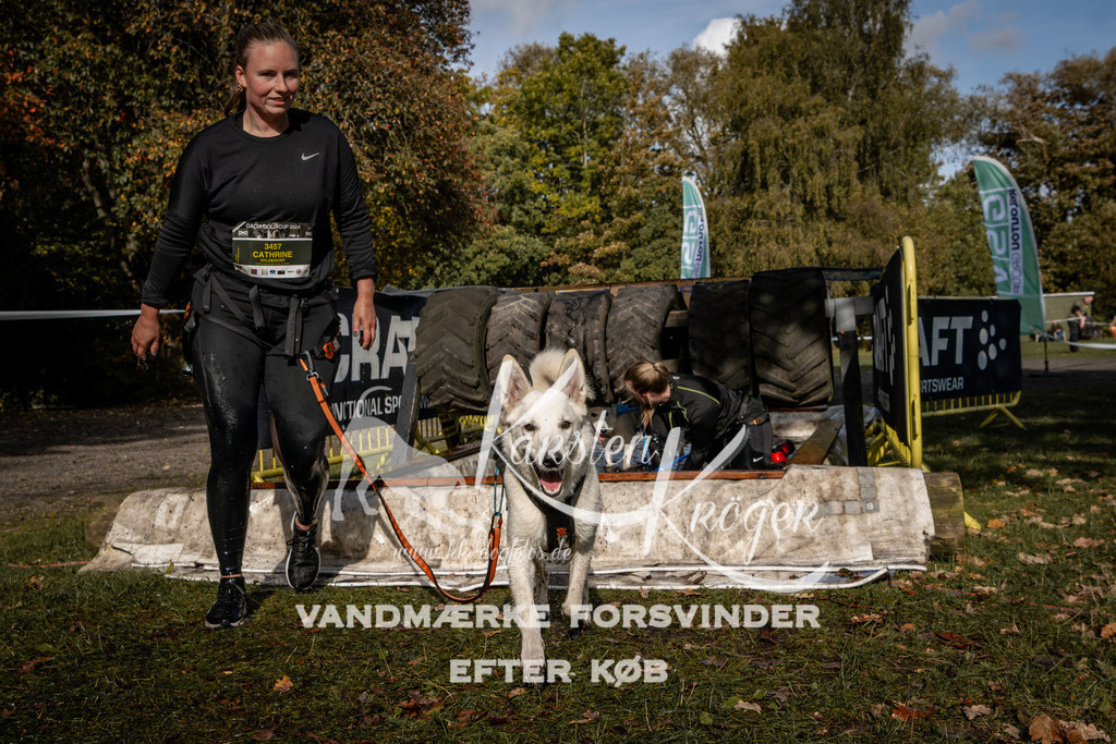1305_ZZ91899 | kk-dogfotos