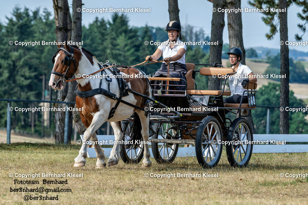 A1B06868 | foto-team-bernhard - Realisiert mit Pictrs.com