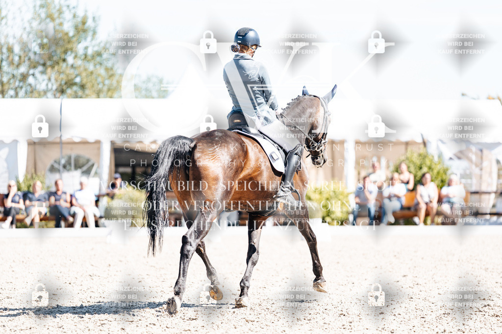 CK909803 | Turnierfotografie Pferdefotografie Trier Rheinland-Pfalz Pferdesport Reitsport Tierfotografie Sportfotografie Pferdevideo Pferdevideografie Equestrianvideography equestrianphotography  - Realisiert mit Pictrs.com