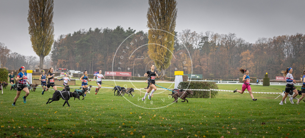 CaniXpix_DV3A8750 | Hundefotografie, Tierfotograf, Pfotenfotografie, Fotoshooting Hund, Hunde Portrait, Hundesport, Hundeportraits, Heideshooting, Hunde, Sportfotograf, Hundefotograf, Turnierhundsport, THS,  - Realisiert mit Pictrs.com