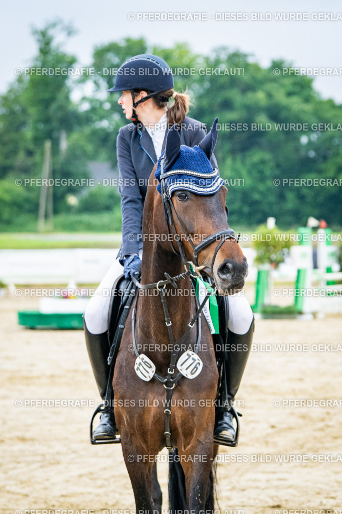 DSC02832 | Pferdegrafie