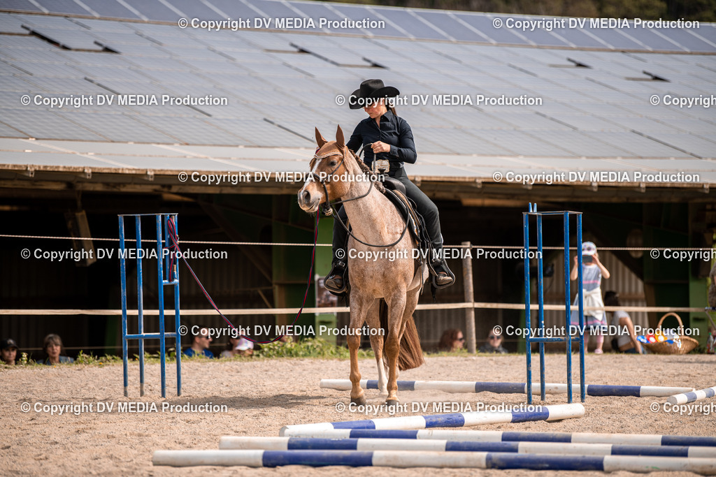 Balingen Tag 5-355 | dv-media-shop - Realisiert mit Pictrs.com