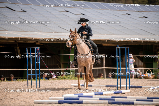 Balingen Tag 5-355 | dv-media-shop - Realized with Pictrs.com