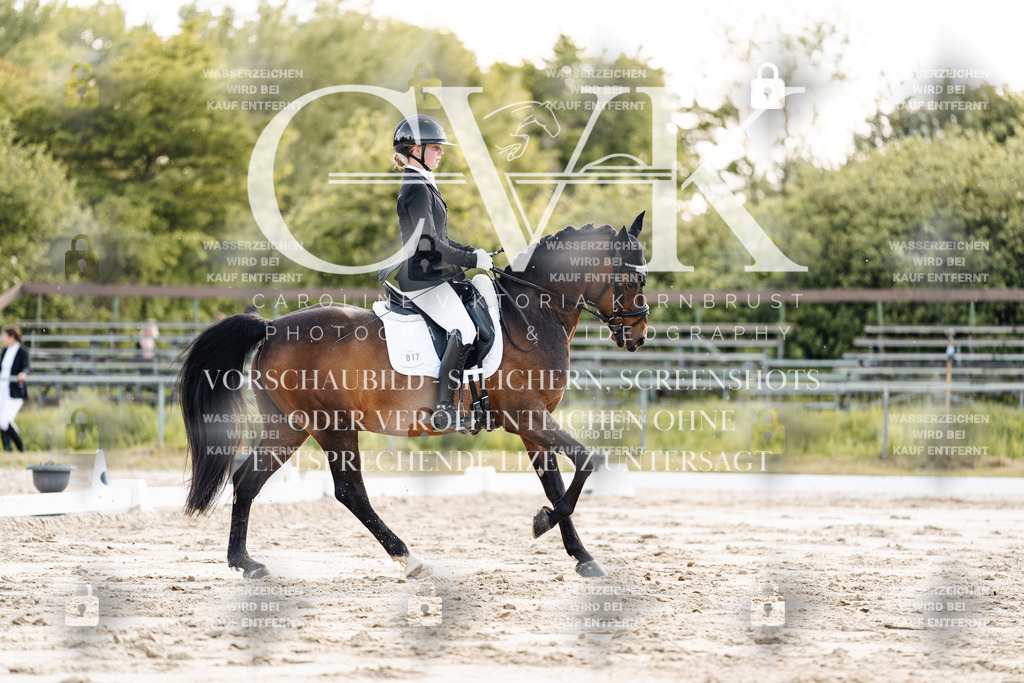 CK909579 | Turnierfotografie Pferdefotografie Trier Rheinland-Pfalz Pferdesport Reitsport Tierfotografie Sportfotografie Pferdevideo Pferdevideografie Equestrianvideography equestrianphotography  - Realisiert mit Pictrs.com