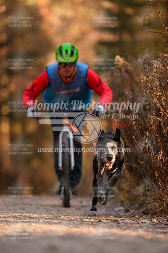 MompixPhotography_DM_AKDM_SO_2025_Scooter-138 | PayLife