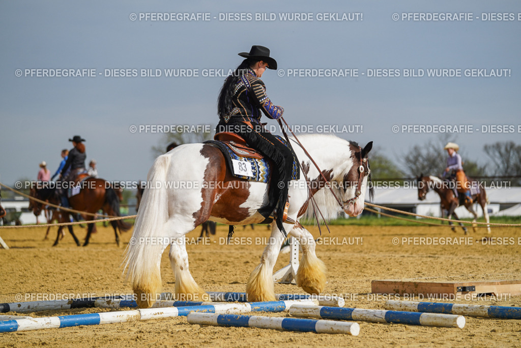 DSC01618 | Pferdegrafie