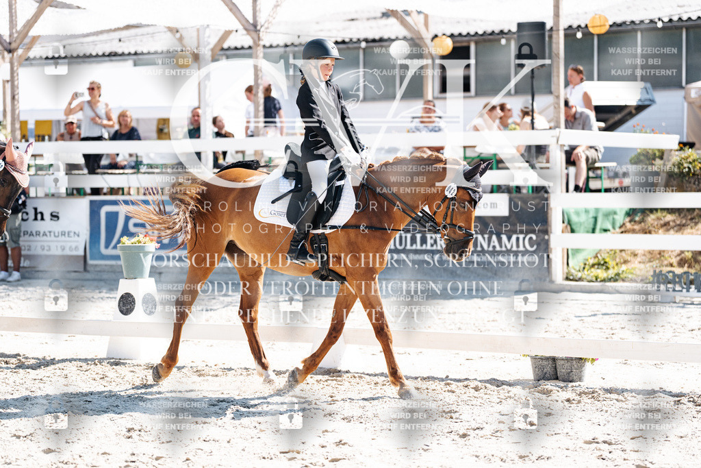 CK902965 | Turnierfotografie Pferdefotografie Trier Rheinland-Pfalz Pferdesport Reitsport Tierfotografie Sportfotografie Pferdevideo Pferdevideografie Equestrianvideography equestrianphotography  - Realisiert mit Pictrs.com