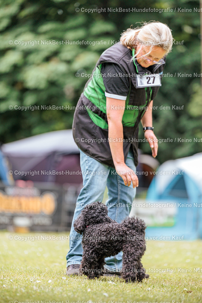 RO-Blumenthal-2026-Nickbest-Hundefotografie-3172 | Dein Hund! Dein Moment! Deine Erinnerungen! Hundefotografie in Bremen Blumenthal. Ich fange die besonderen Momente deines Vierbeiners ein – ob Indoor mit Blitzanlage oder in der freien Natur. Sicher dir dein Moment und dein Termin für eure Erinnerungen.