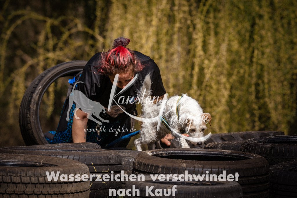 1046_ZZ99447 | kk-dogfotos