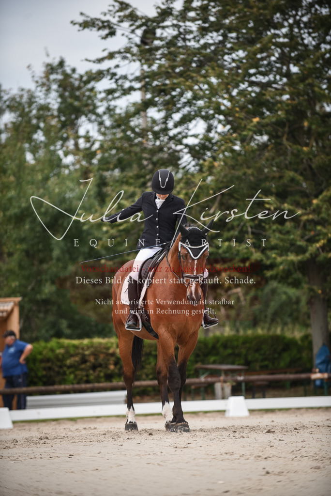 DSC_8055 | Pferde- und Turnierfotografie in Westsachsen. Pferdeportraits, Auftragszeichnungen und intuitive Kunst.