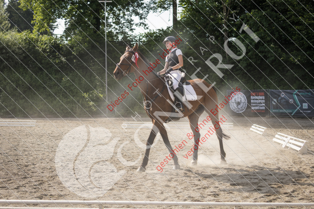IMG_6150 | Sport-, Event- und Tierfotos in Profiqualität. Einfach auswählen, bestellen und herunterladen. Dein Moment – perfekt festgehalten.