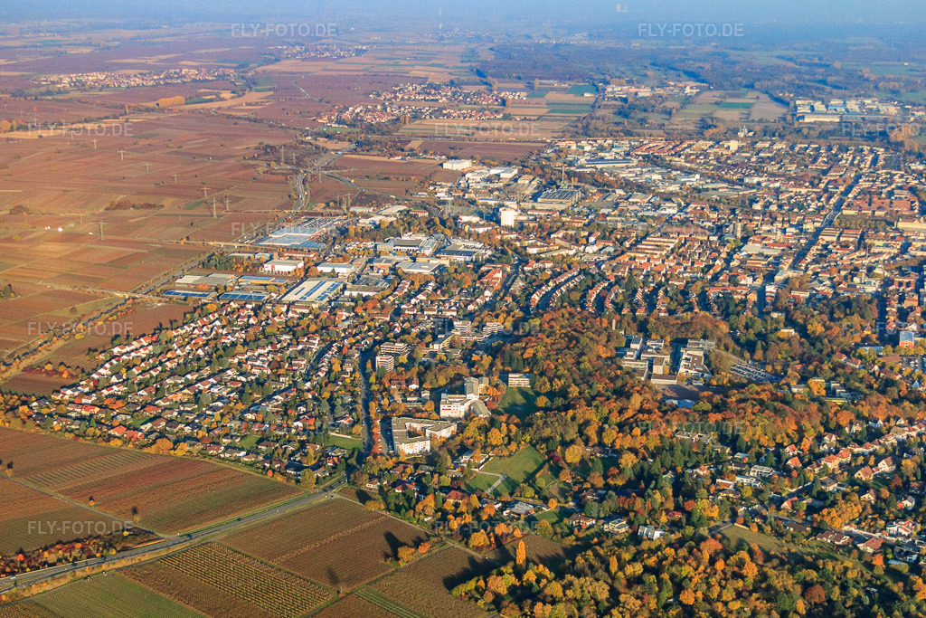 Luftbild: Stadtteil Nord von Westen in Landau in der Pfalz im Bundesland Rheinland-Pfalz in Deutschland. Foto: IMG_46186.jpg vom 31.10.2011 durch Werner Riehm/FLY-FOTO.deAuflösung des Originals: 4453 x 2969 px